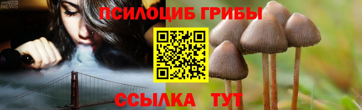 Псилоцибиновые грибы Psilocybe Ликино-Дулёво