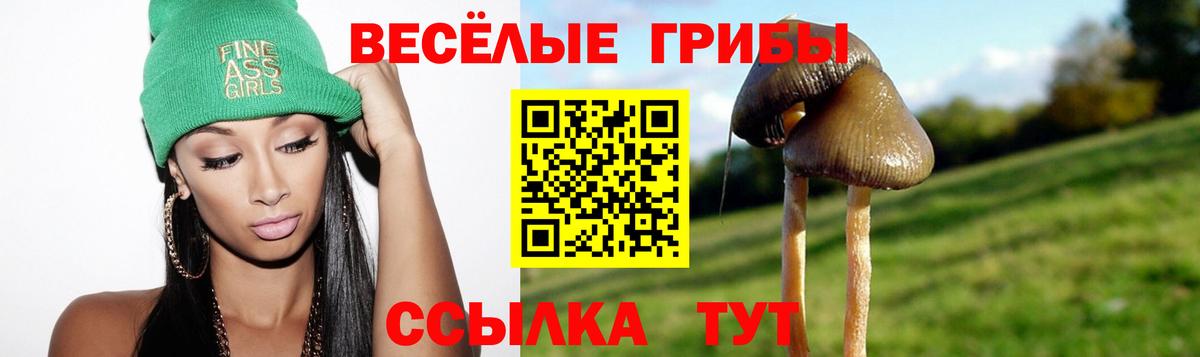 Псилоцибиновые грибы Magic Shrooms  Вход с VPN  Ликино-Дулёво 